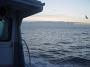 Tuncurry-PhilRoach 002